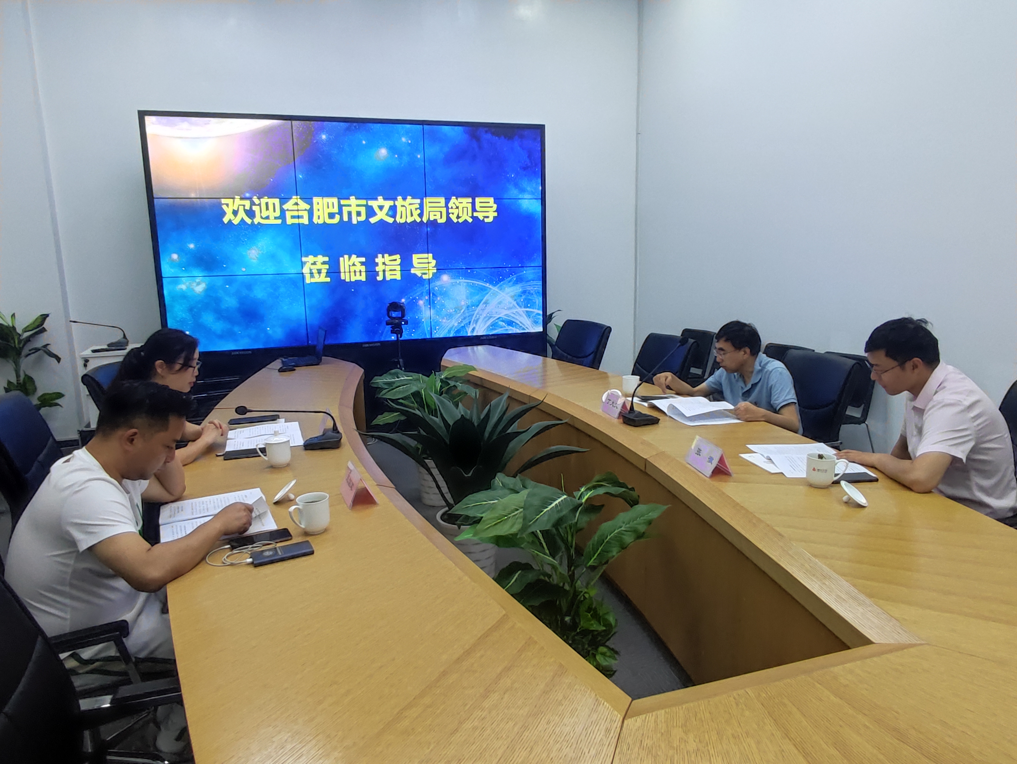 合肥市文化游览局丁大文处长一行光临3499拉斯维加斯文创集团调研