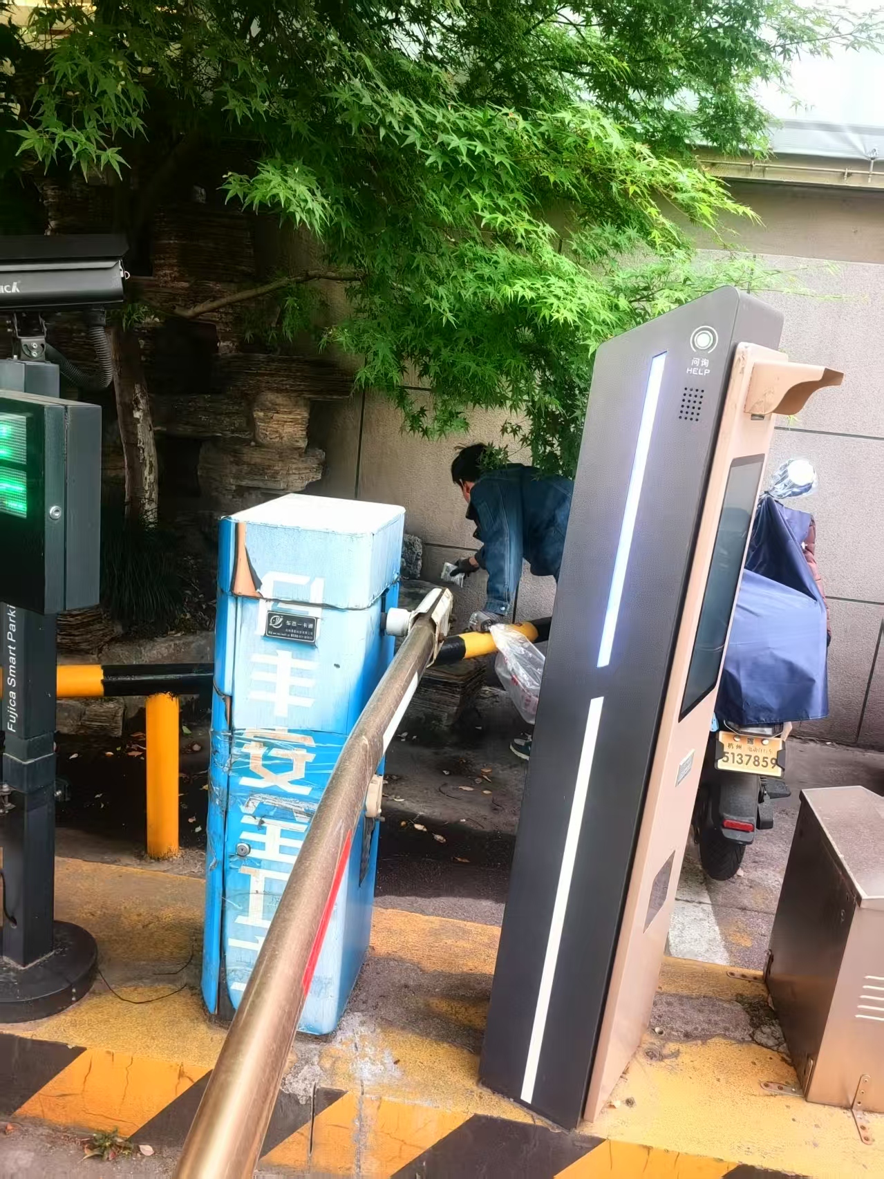 3499拉斯维加斯市场开启灭鼠行动