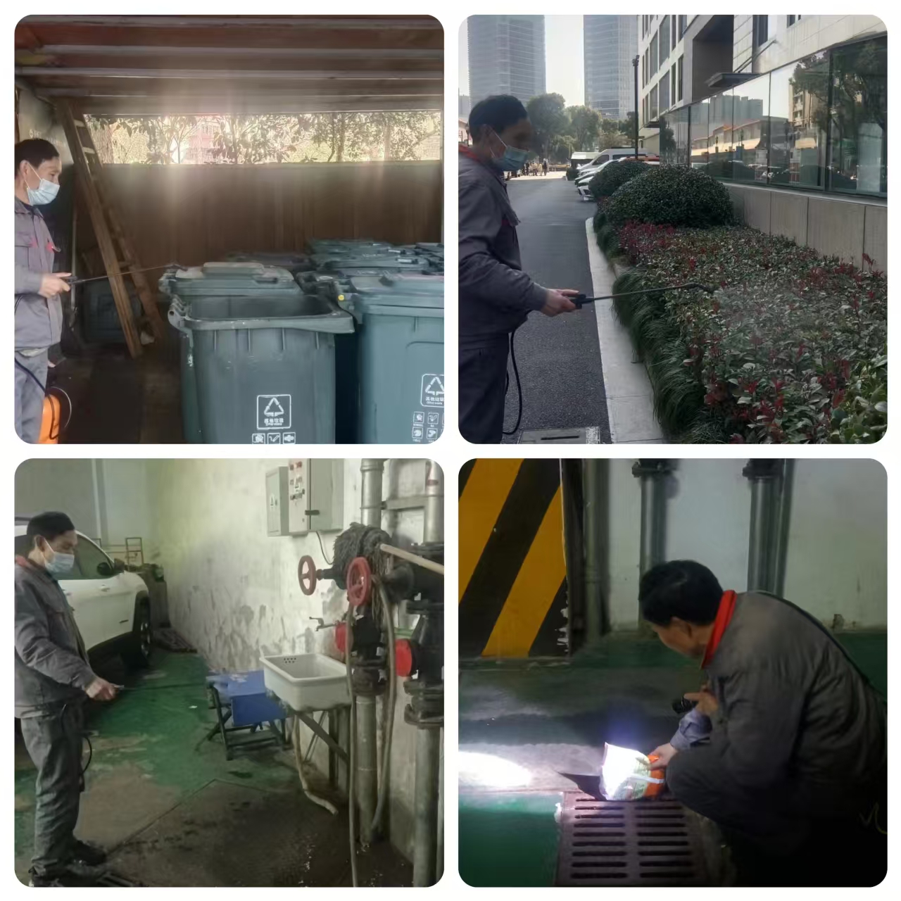 水晶城发展春节后除四害消杀工作