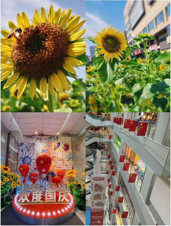 盛世华诞，水晶城喜迎国庆