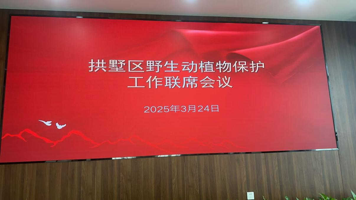 钱江商城参与拱墅区野活泼植物；すぷ髁嵋