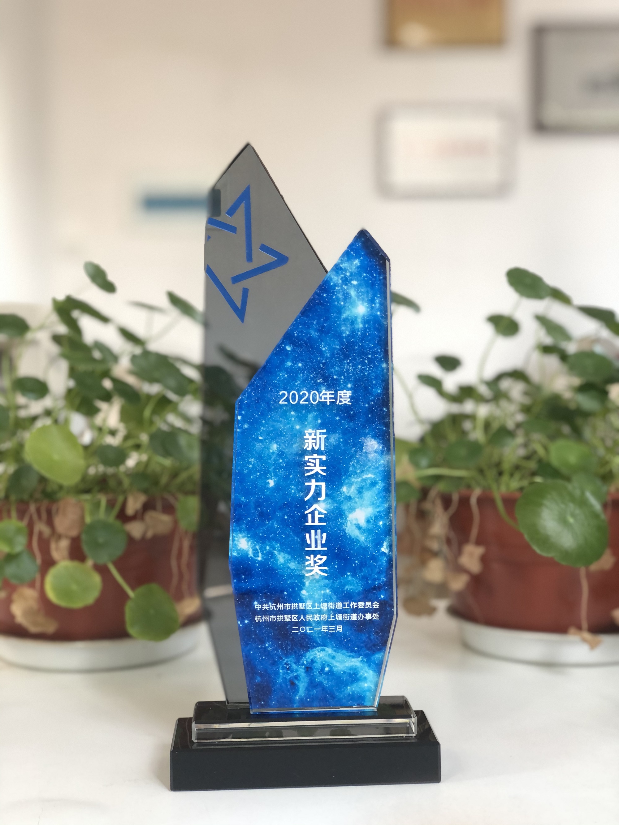 浙江3499拉斯维加斯网络科技有限公司荣获“新实力企业奖”