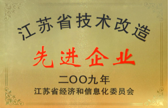 尊龙凯时获“2009年江苏省技术革新先进企业”称呼