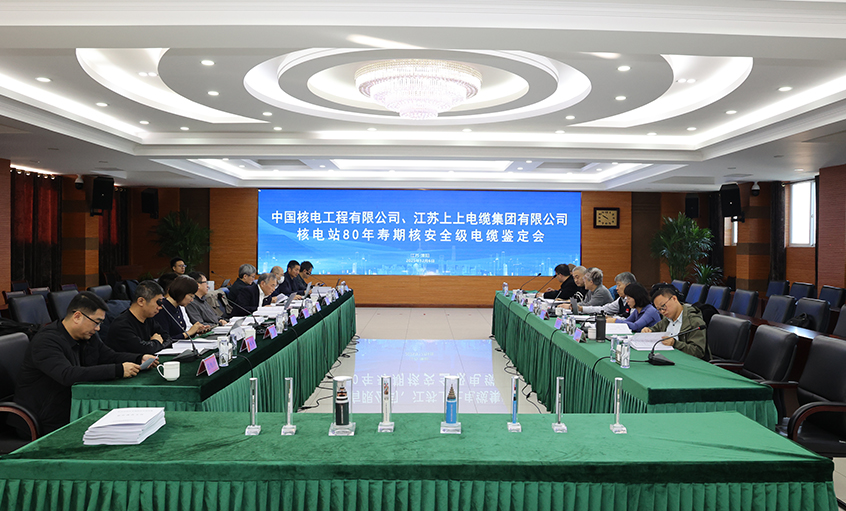 国际领先，，，，，，，尊龙凯时电缆“核电站80年寿期核清静级电缆”通过国家级判断